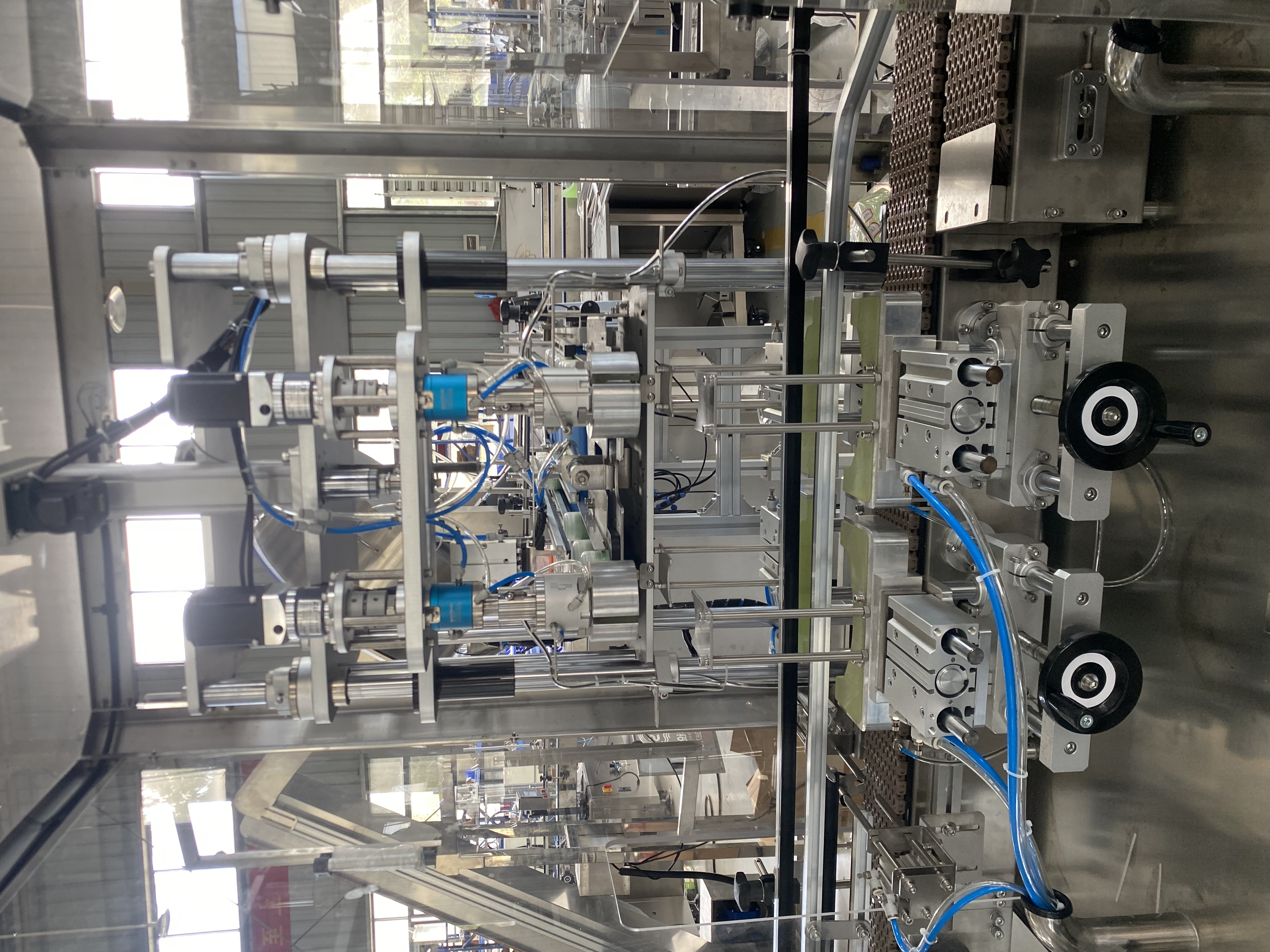 Double Head Capping Machine photo